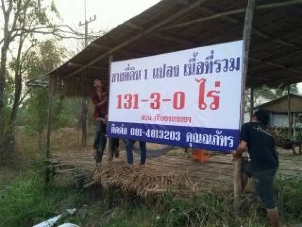 ขายที่ดิน 131 ไร่ ติด อบตหนองปลาไหล