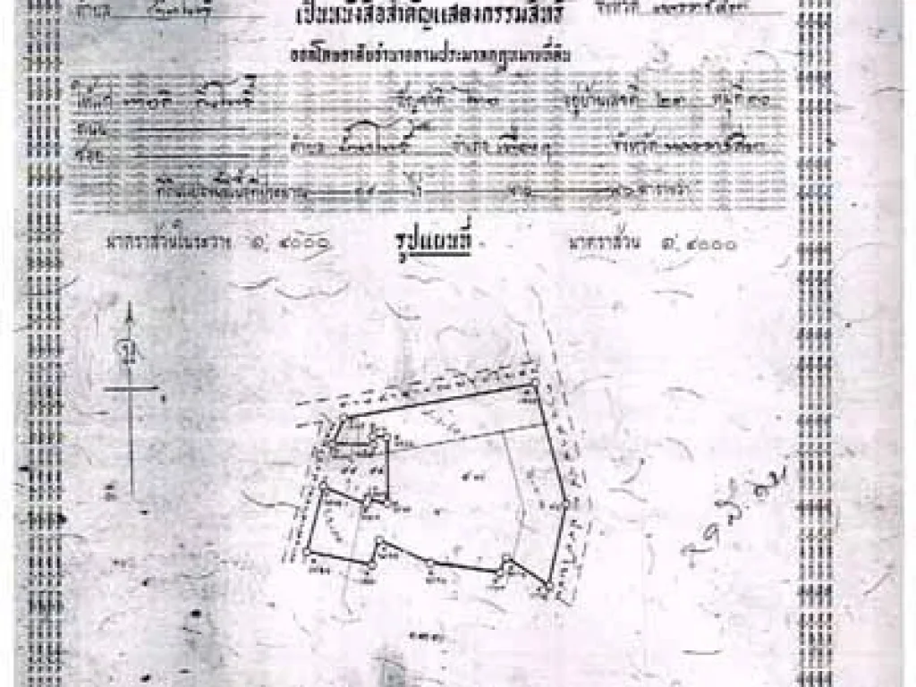 ขายที่ดิน 20ไร่ หลังเลี่่ยงเมืองสายฉ