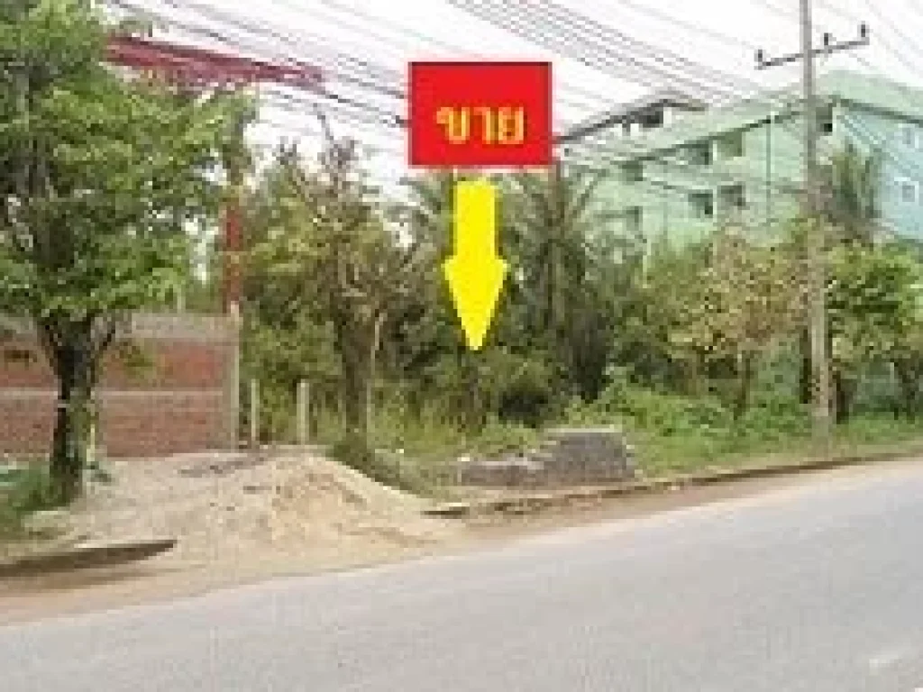 ขายที่ดิน 1 ไร่ 2 ห้อง คนสนใจมาก ราคานี้ภายใน 6 เดือน