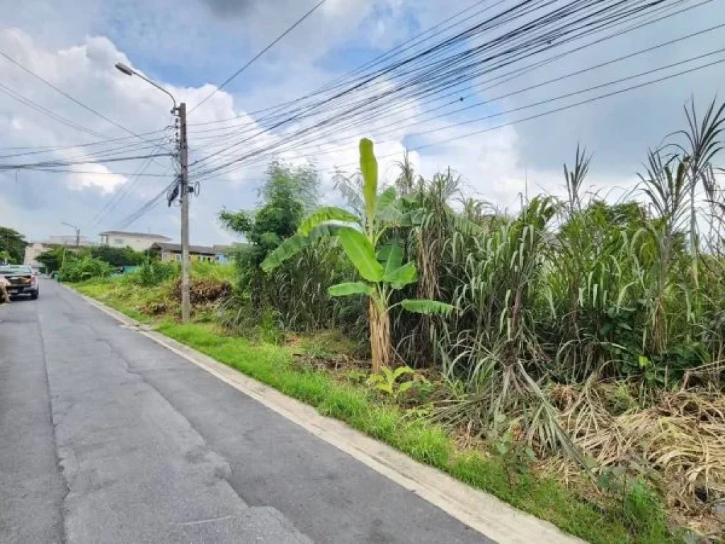 ที่ดินหนองแขม กรุงเทพมหานคร ติดถนนลาดยาง สาธารณูปโภคครบครัน