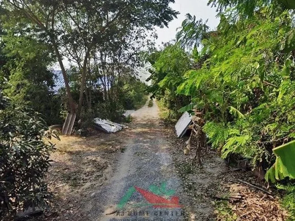 ขายที่ดินพร้อมบ้านชั้นเดียว ขนาด1ไร่ ย่านบางใหญ่ ราคาพร้อมคุย