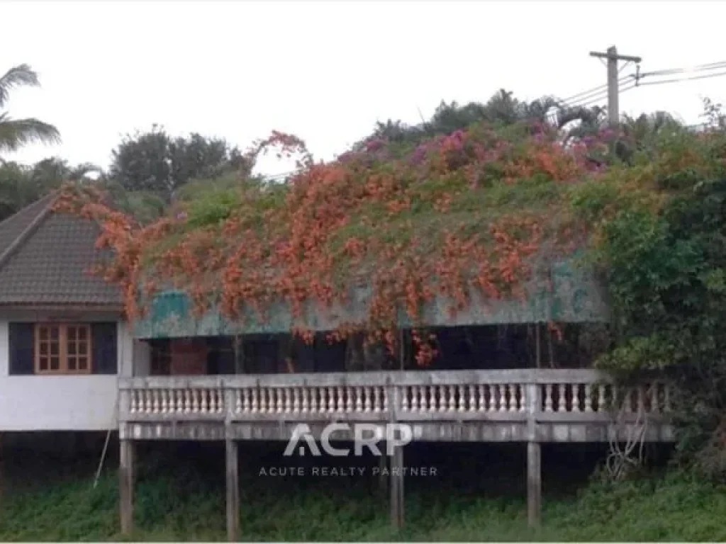 ขายที่ดินทำเลสวย ตำบลร่องจิก อำเภอภูเรือ จังหวัดเลย