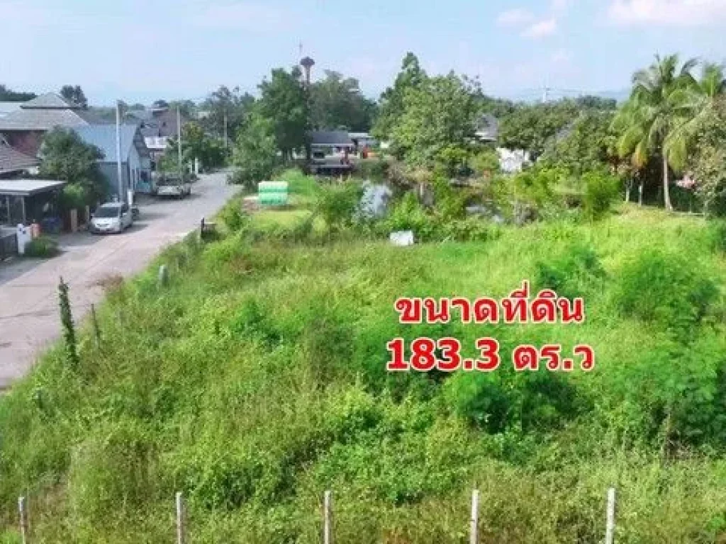 ขายที่ดินแปลงสี่เหลี่ยม สวย 1833 ตรว ใกล้เพื่อนบ้าน