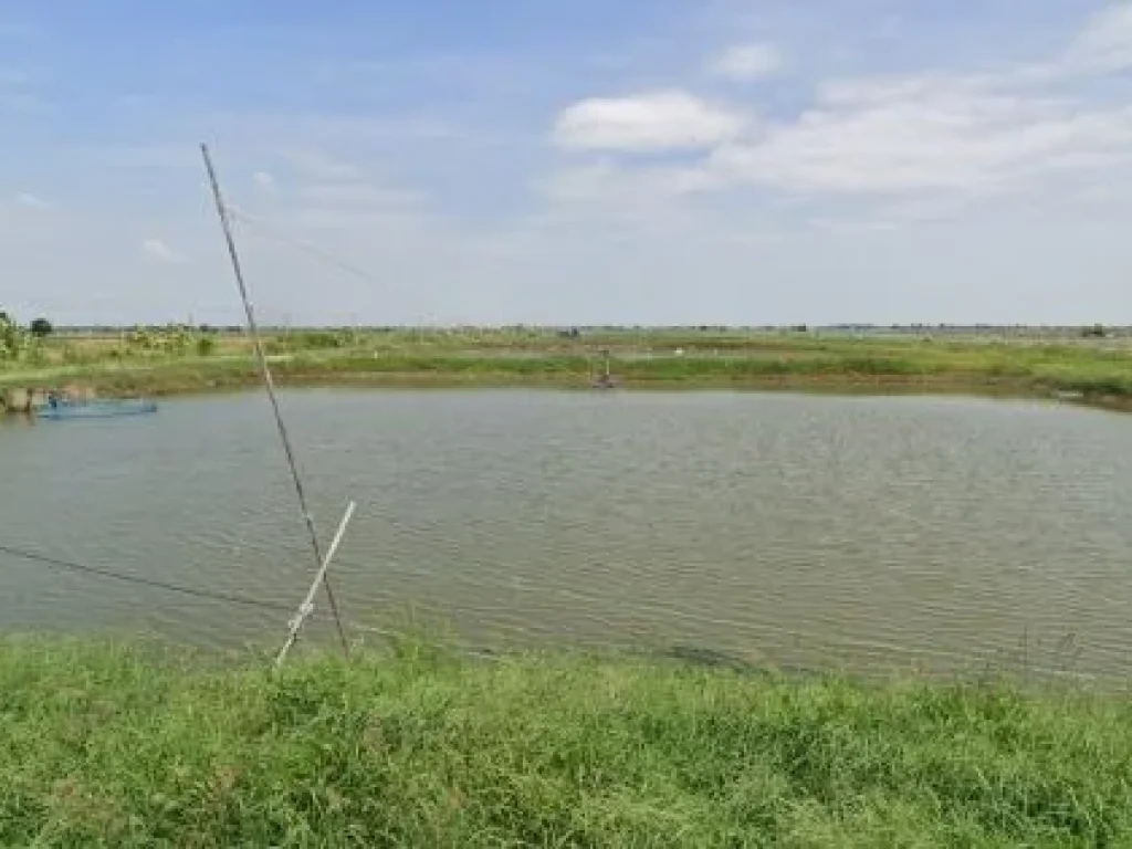 ขายที่ดินตำบลสองคลอง บางปะกง ใกล้ถนนสุขุมวิทสายเก่า