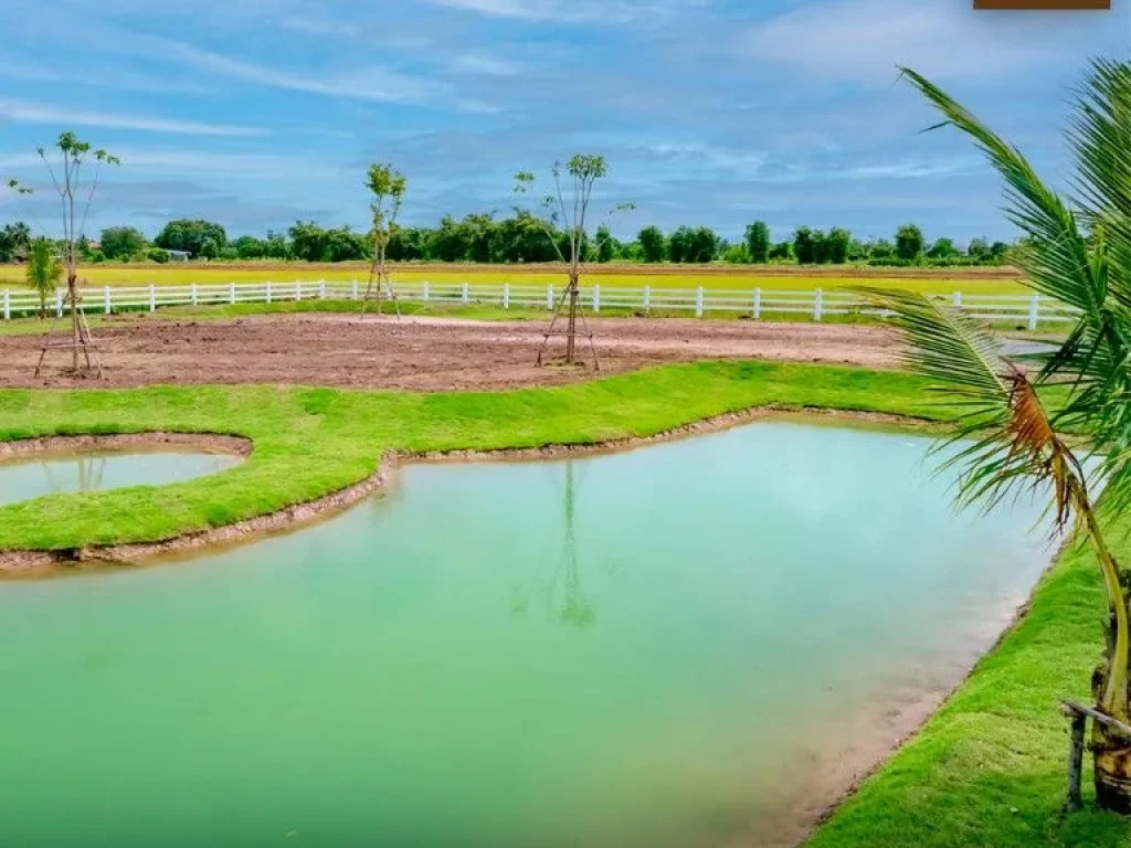 ขายถูกมาก ที่ดินจัดสรร สไตล์สวนเกษตรผสมผสาน ใกล้ชิดธรรมชาติ