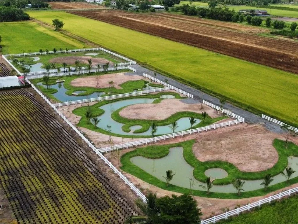 ขายถูกมาก ที่ดินจัดสรร สไตล์สวนเกษตรผสมผสาน ใกล้ชิดธรรมชาติ