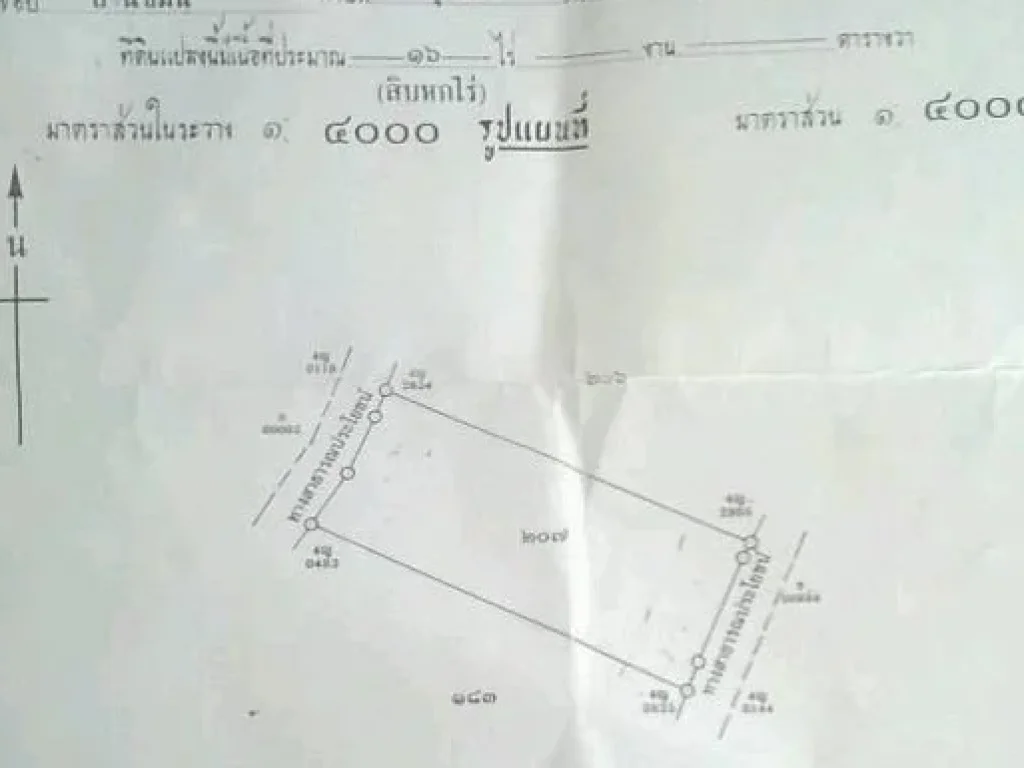 ขายที่ดิน 16 ไร่ ถอุดร-หนองคาย ทางเข้าดูโฮม