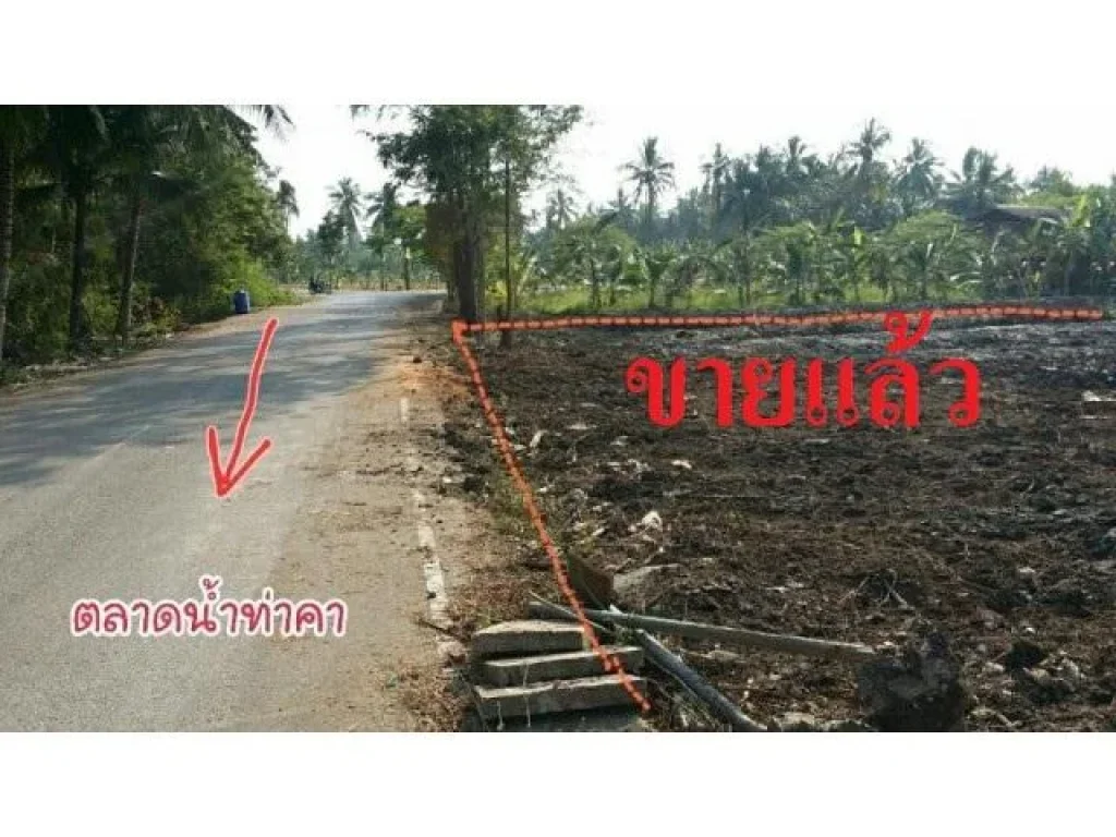 ริมคลอง 1 ไร่ 19 ตรว