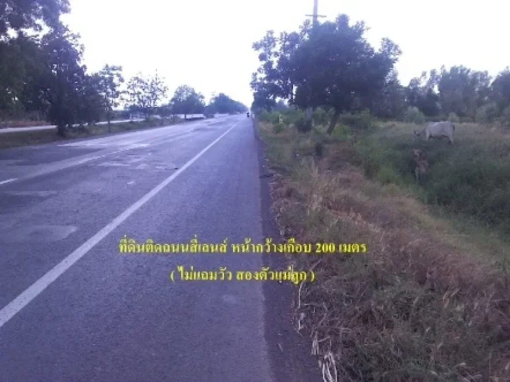 ขายที่ดิน 12 ไร่ ติดถนน 24 หนองโบสถ์ อนางรอง Land for sale 12 Rai 24Rd Nongbost Nangrong