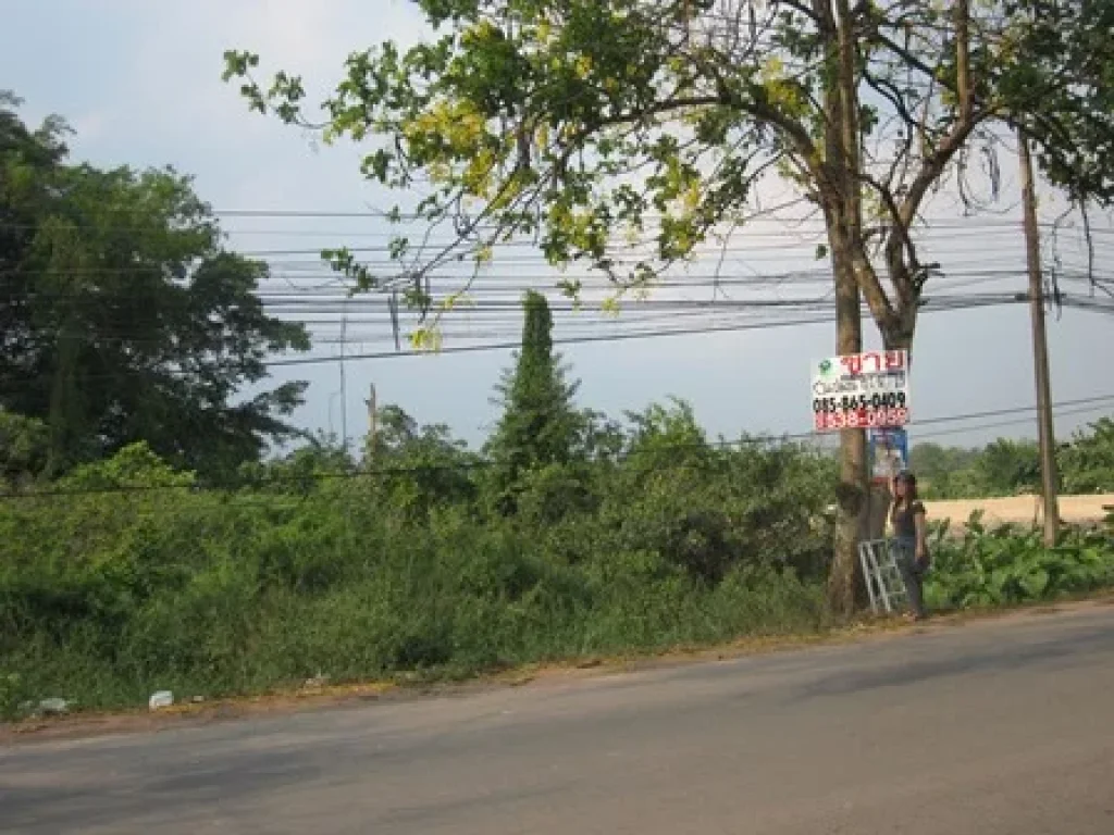 ที่ดินเปล่า พื้นที่ 15 ไร่ 1 งาน 88 ตรว ปราจีนบุรี