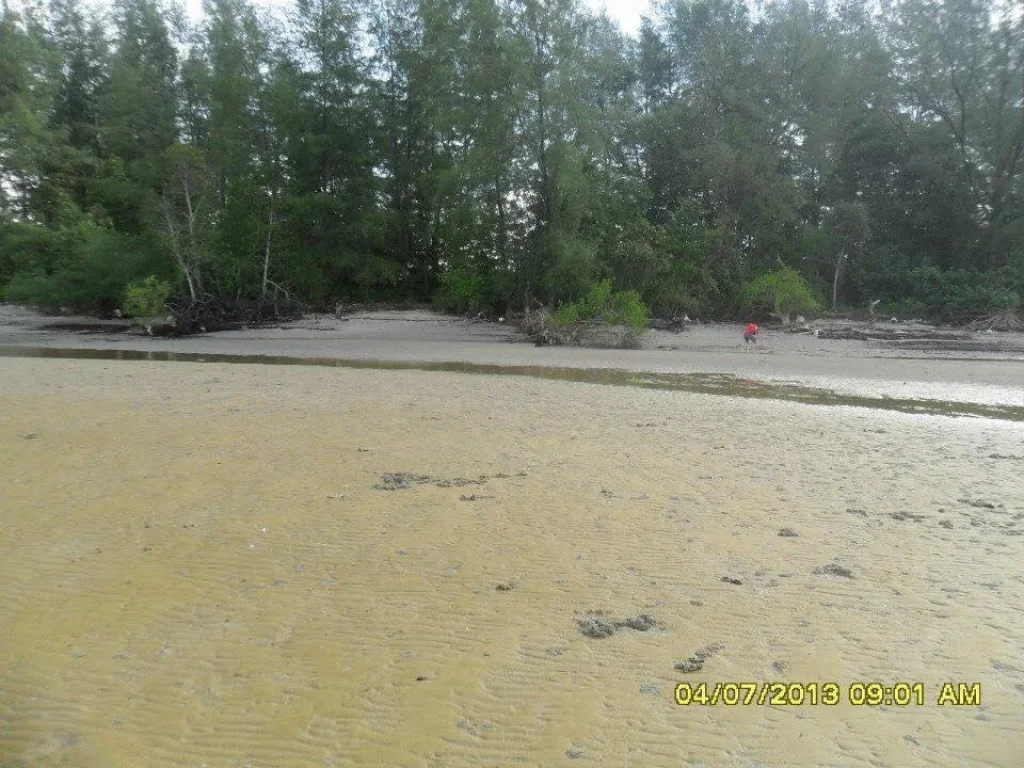 ที่ดินติดชายทะเล ใก้ลหาดสุวรรณเกลียวทอง เจ้าของขายเอง