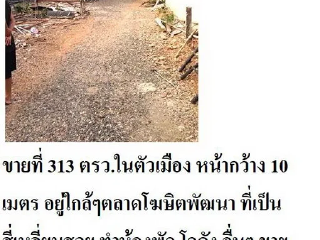 ขายที่ 313 ตรวในตัวเมือง หน้ากว้าง 10 เมตร