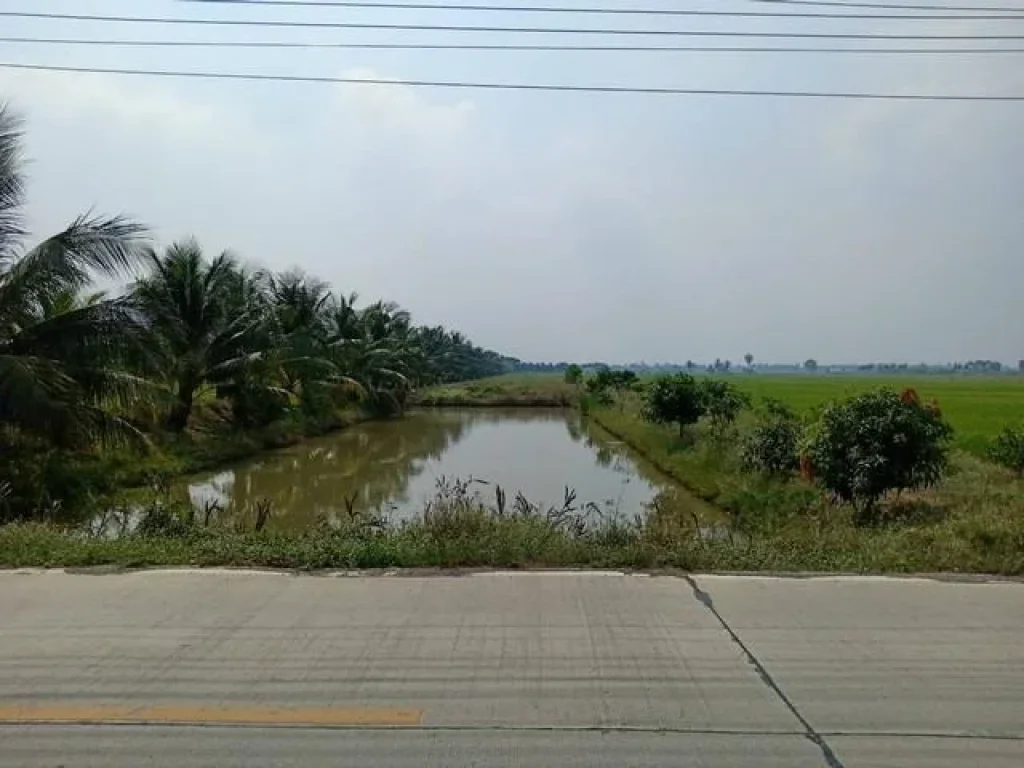 ขาย ที่ดิน 7-3-82 ไร่ ลาดหลุมแก้ว ปทุมธานี ติดถนน