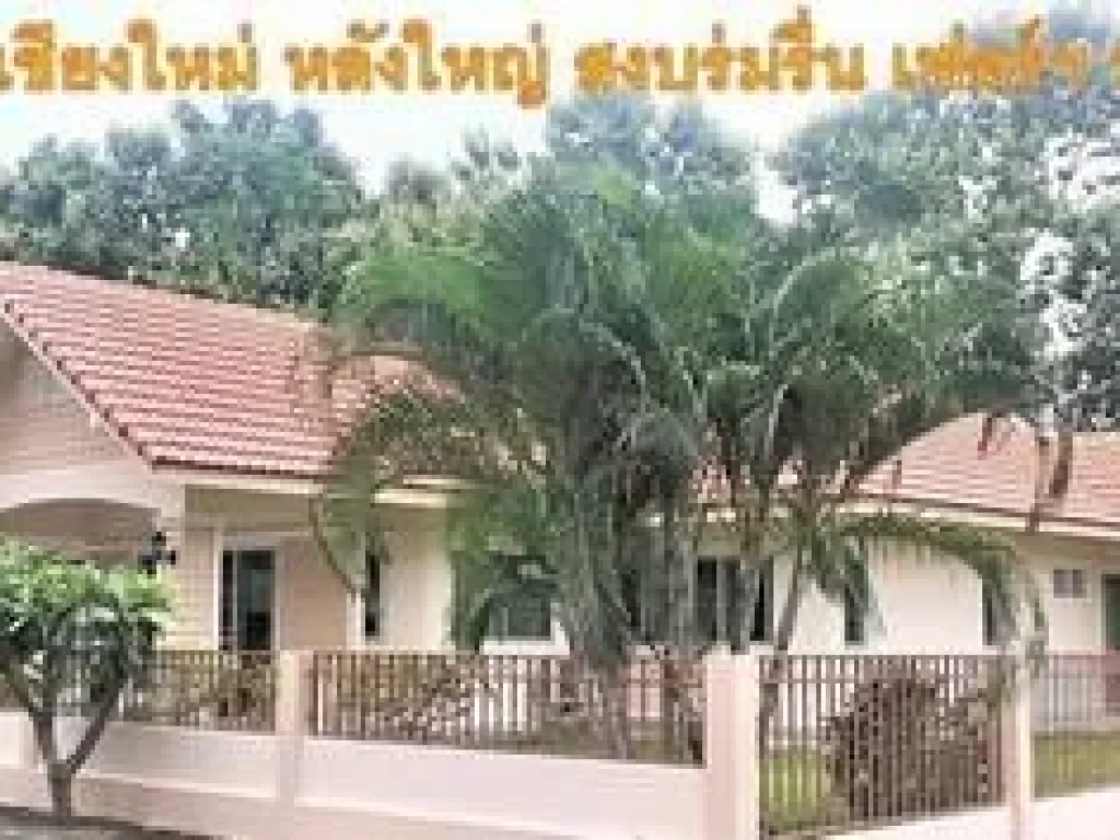 ขายบ้านเดี่ยว สารภี 4 ห้องนอน 2 ห้องน้ำ