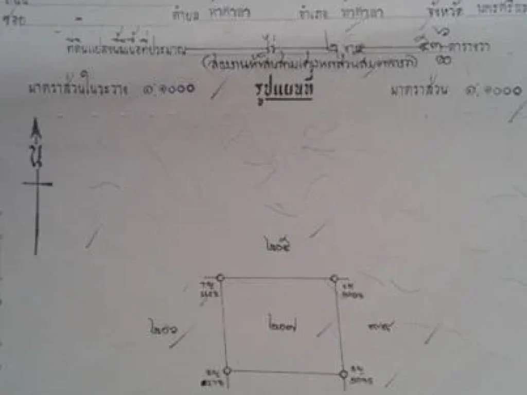 ต้องการขายที่ดินราคาถูกใกล้ปอเนาะ ใกล้มัสยิด