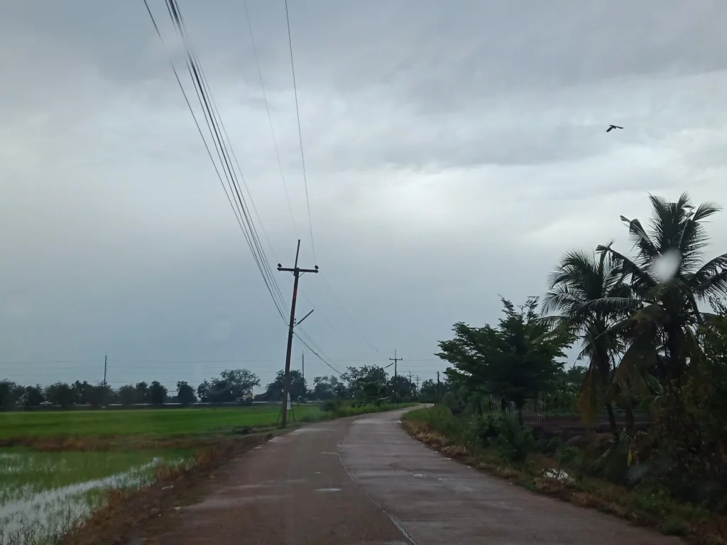 ขายที่ดินถูกและสวย ทำเลดี ในเขตพนมสารคามบางคล้าราชสาส์นแปลงยาวราคาเริ่มต้นที่180000ต่อไร่