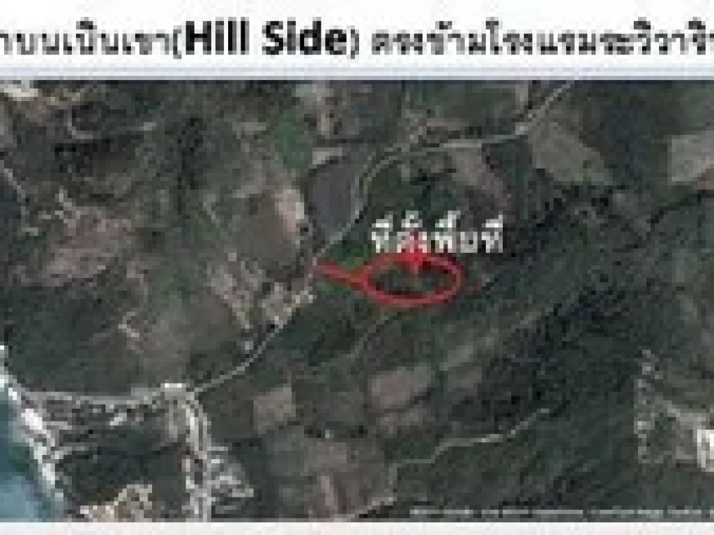 ขายที่ดินเปล่าบนเนินเขาHile sideเกาะลันตา กระบี่