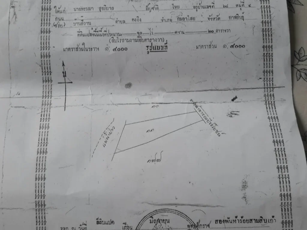 ขายถูกที่นาดินดำน้ำดี บ้านเหล่าอ้อย ร่องคำ กาฬสินธุ์ ติดน้ำปาว 11 ไร่ ยกแปลก 8 แสนบาท