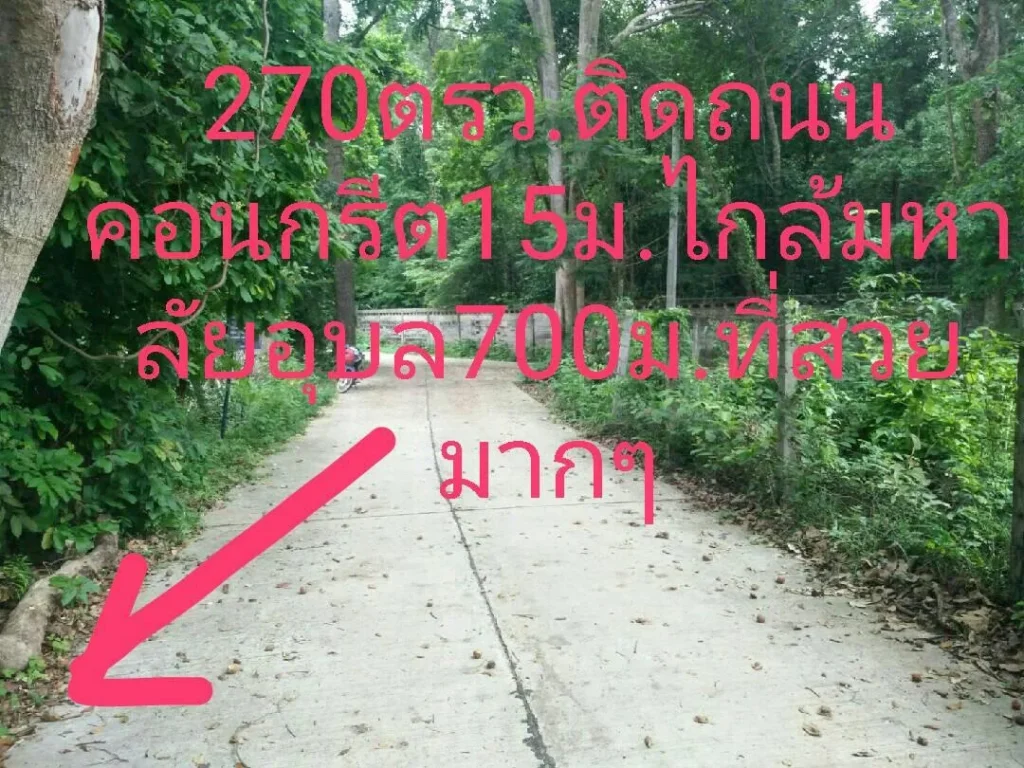 ขายที่เปล่า270ตรวขาย950000 เหมาะสำหรับสร้างบ้านหรือหอพัก ไก่มหาลัยอุบลราชธานี 1 กม และห่างถนน 4 เลน 700เมตรติดคอนกรีต