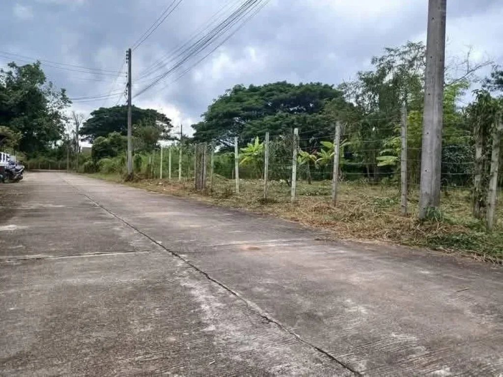 ขายที่ดินตำบลสุเทพบ้านช่างทองติดถนนคอนกรีตโฉนดพร้อมโอน