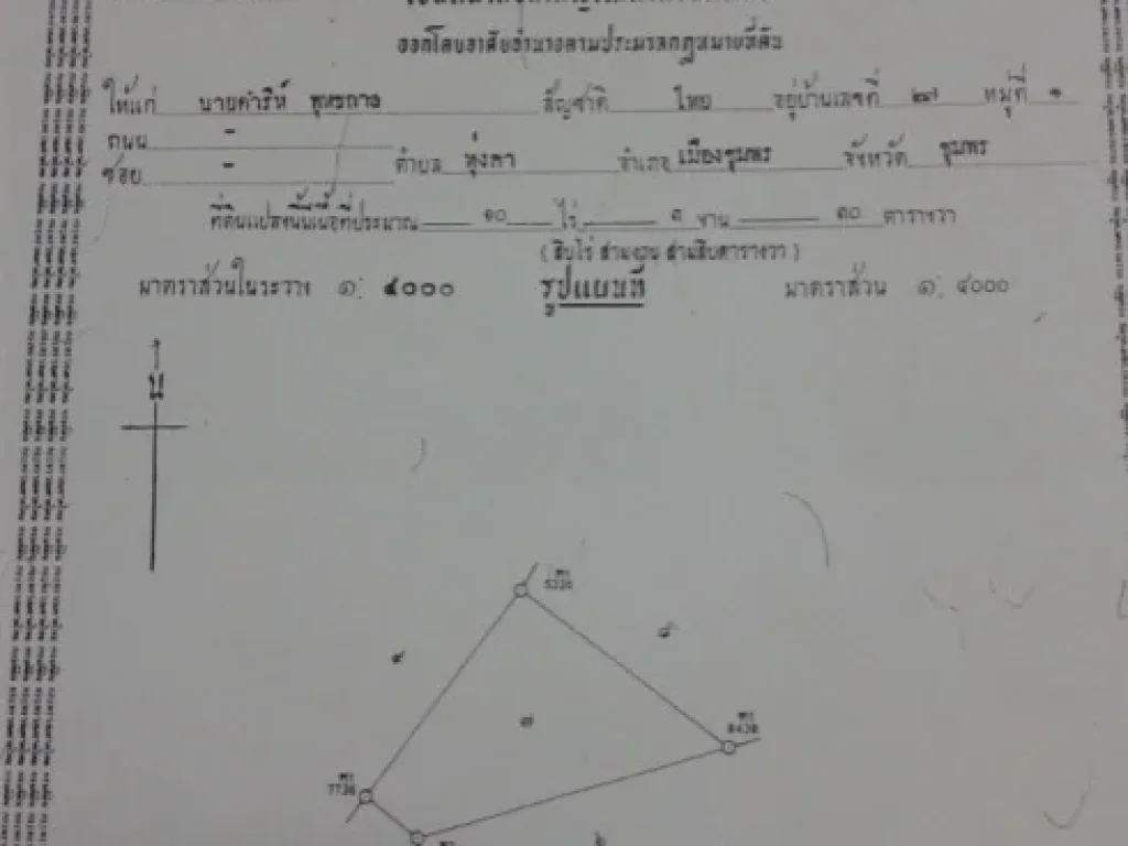 ขายที่ดินสวนปาล์ม ด่วน