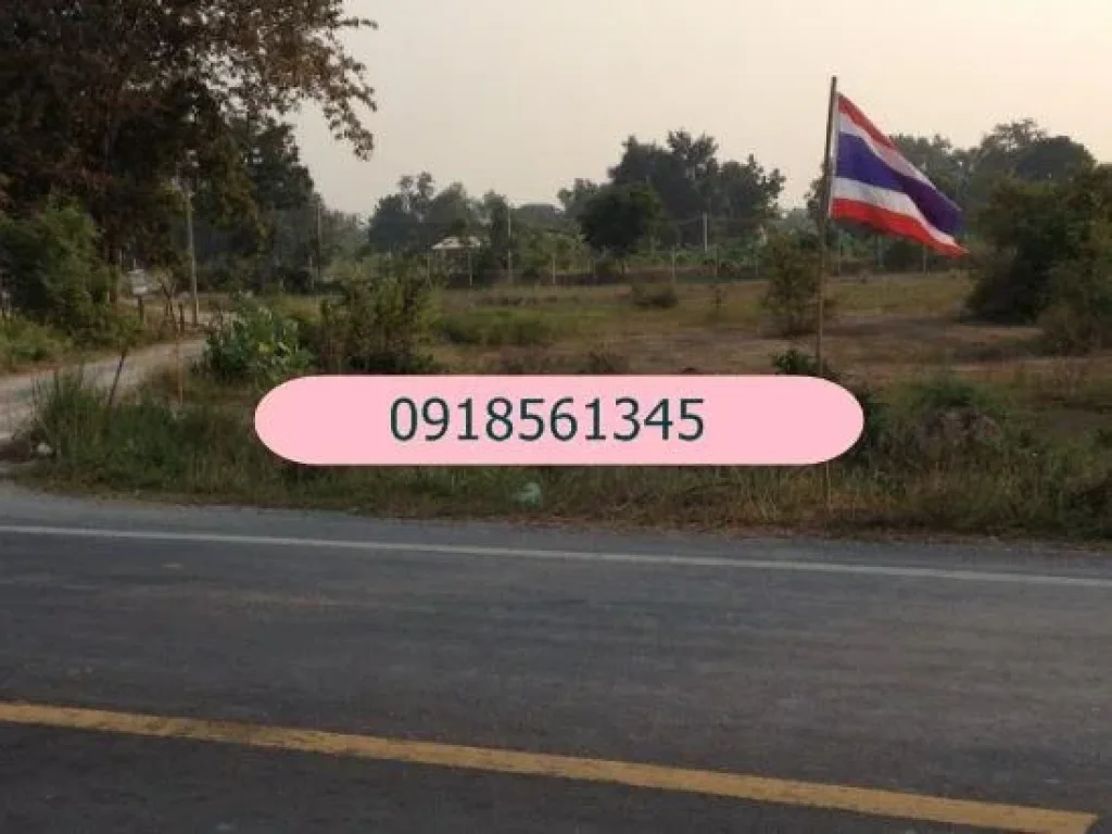 ขายที่ดินทำเกษตรผสม 56 ไร่ มีสวนผสม บ่อน้ำ แถมวัวให้อีก 50 กว่าตัว จสุพรรณบุรี ขายถูก