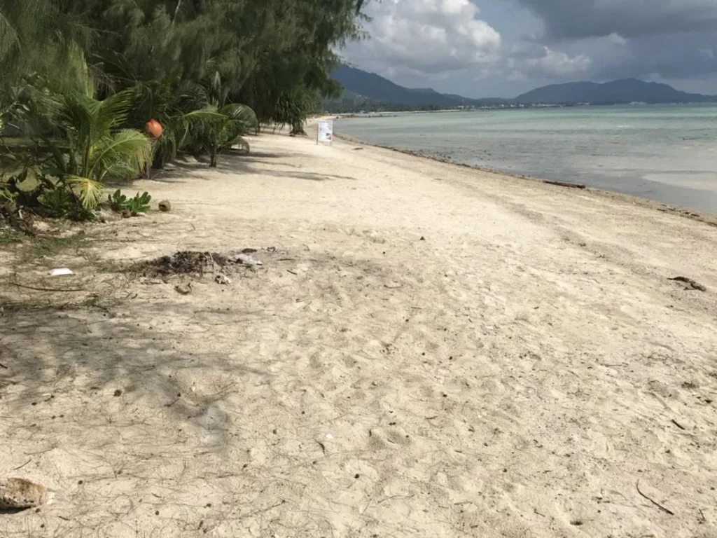 ขานที่ดินติดทะเลชายหาดเกาะสมุยหาดสวยมาก