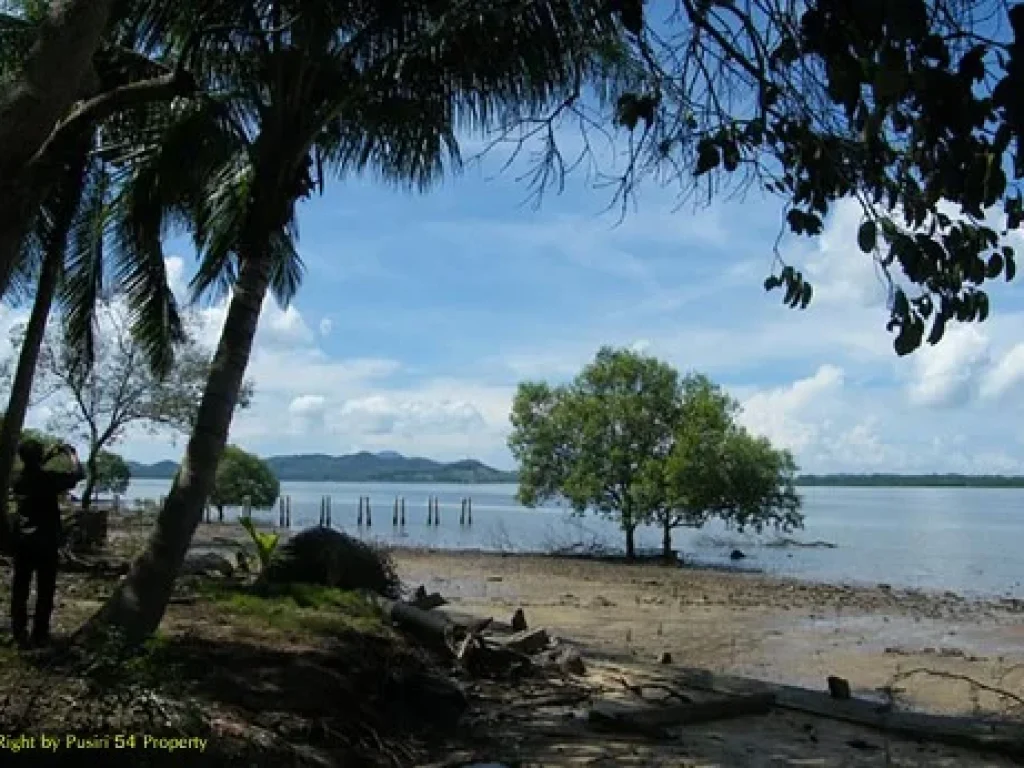 ขายเกาะส่วนตัว ฝั่งทะเลอันดามัน จังหวัดกระบี่ น้ำใส 580 ไร่ยกทั้งเกาะ พร้อมบ้าน สวนปาล์มและบ่อน้ำฝน