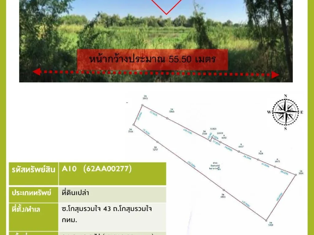 A10 62AA00277 ซโกสุมรวมใจ 43