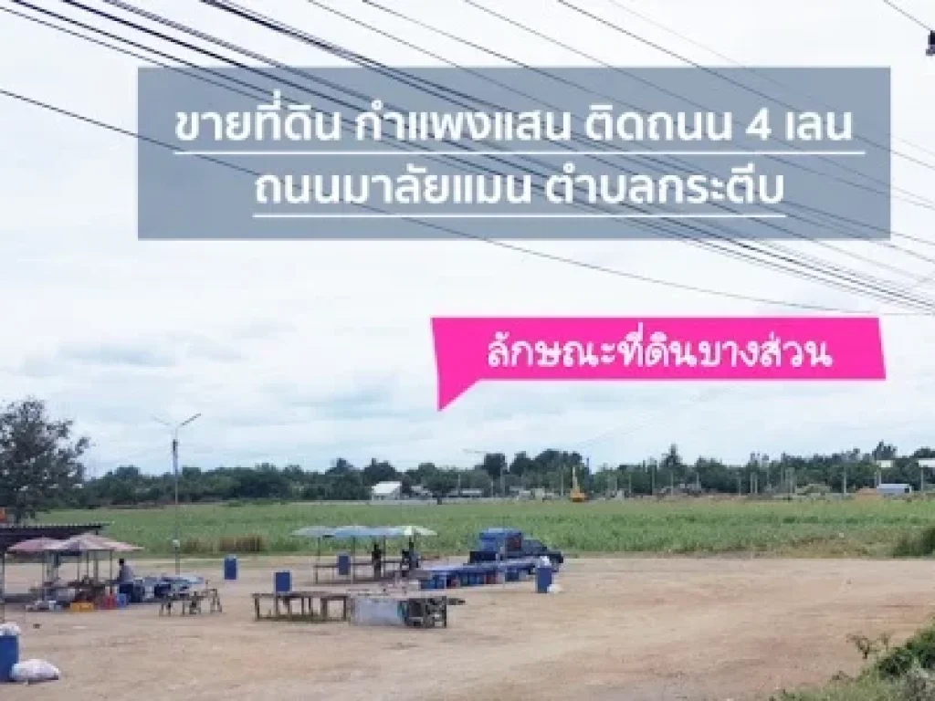 ขายที่ดิน กระตีบ กำแพงแสน เป็นที่ดินเปล่าติดถนน 4 เลน ถนนมาลัยแมน ใกล้ เกษตรศาสตร์ กำแพงแสน