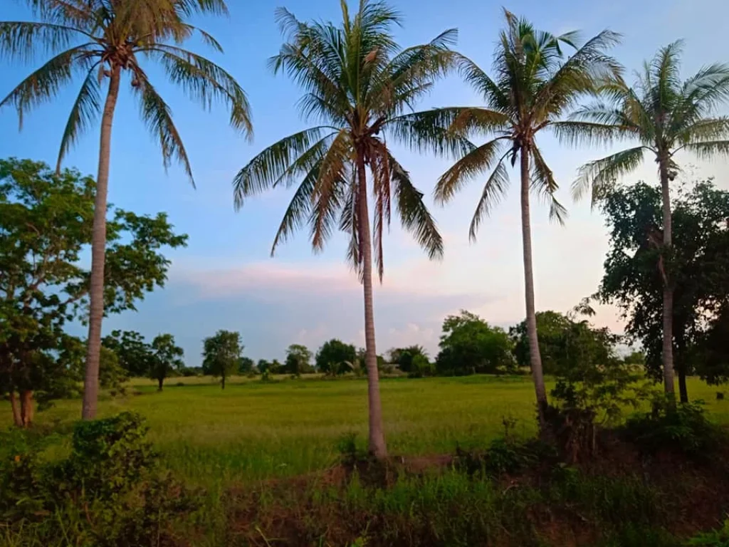 ขายที่ดินติดแหล่งน้ำขนาดใหญ่อากาศดี อยู่ใน อำเภอเมืองโคราช