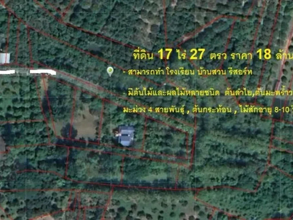 ขายที่ดิน 17-0-27 ไร่ หารแก้ว อหางดง จ เชียงใหม่ สามารถทำ บ้านสวน รีสอร์ท มีต้นไม้และผลไม้หลายชนิด