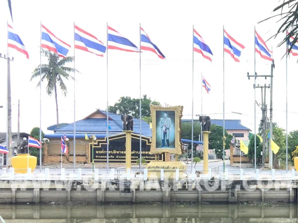 ที่ดิน หนองเสือ ถเลียบคลอง7 ปทุมธานี 3296