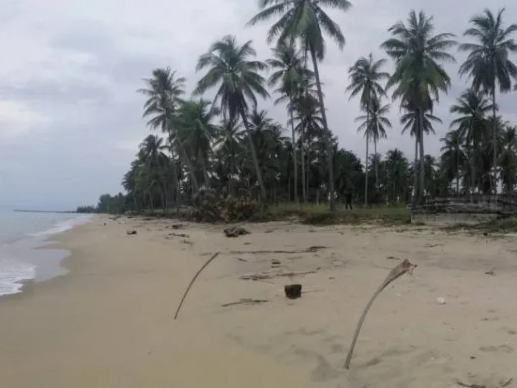 ขายที่ดินติดชายหาดทะเลกลาย ท่าศาลา จังหวัดนครศรีธรรมราช เนื้อที่ 9ไร่เศษไร่ละ3ล้านบาท