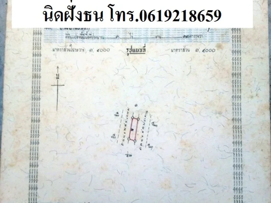 ขายที่ดิน2แปลง ทำเลค้าขายติดถนนเพชรเกษมและติดถนนเลียบคลองชลประทาน อปราณบุรี จประจวบคีรีขันธ์