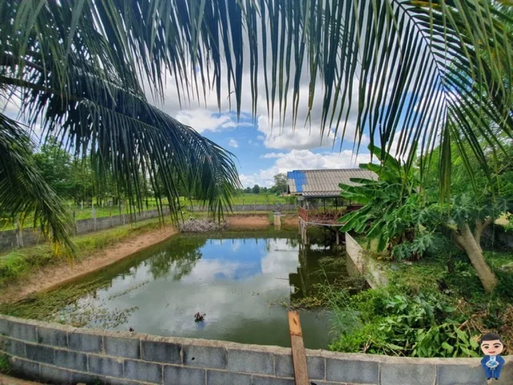 ที่ดินพร้อม บ้านพร้อม แอร์ฟรี สวนก็มีให้ ทำเลทองอีก คุ้มครับ