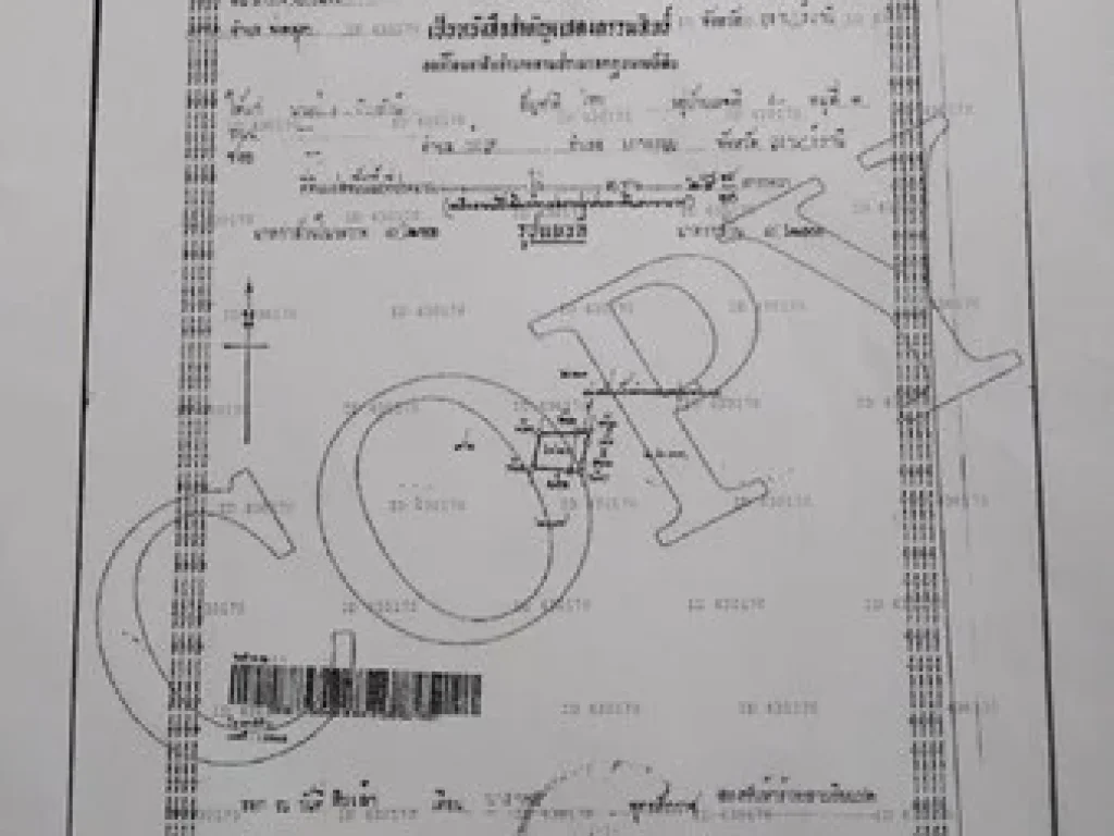 ขายเเละเช่าห้องแถว 5 ห้อง จสุราษฎร์ธานี