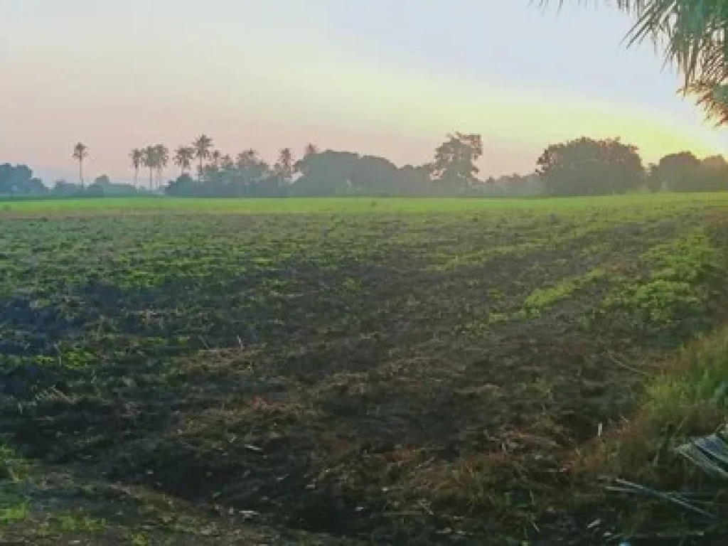 ขาย ที่ดิน 3-1-60 ไร่ ตนายาว อพระพุทธบาท จสระบุรี ที่ดินสวย ทำเลดี