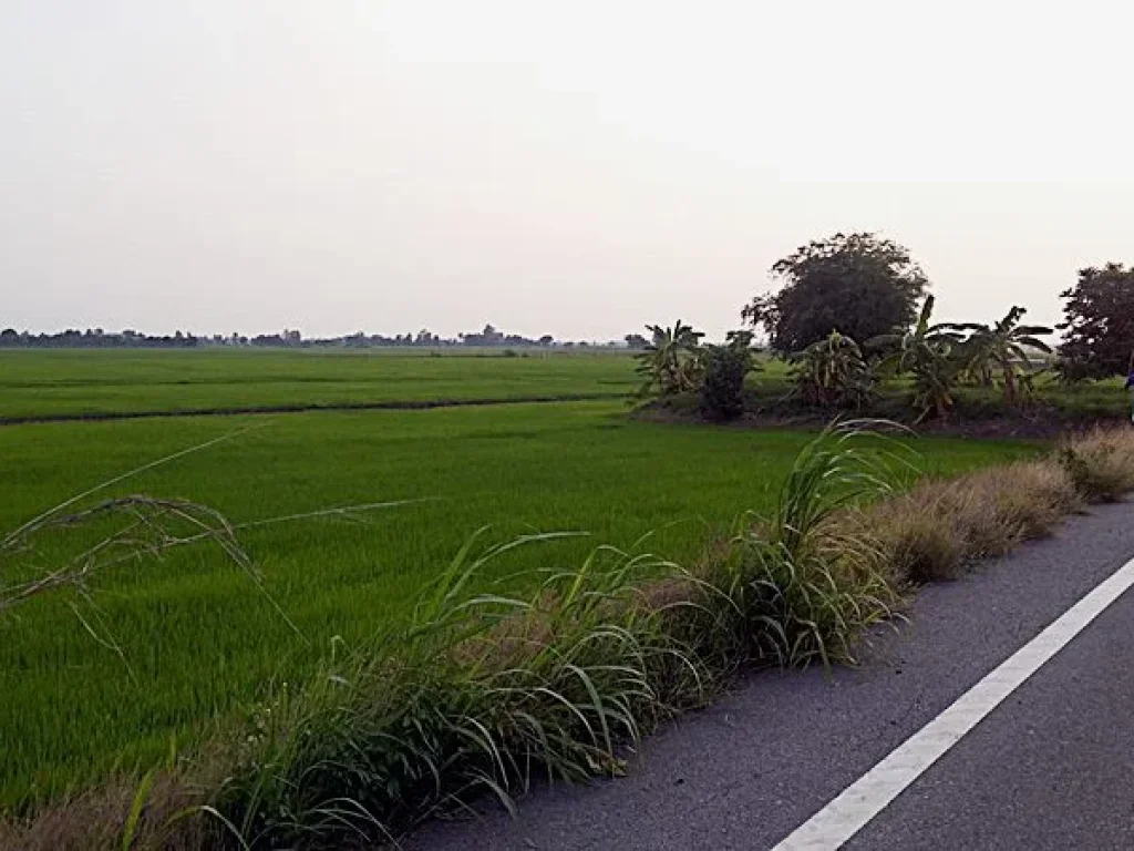 ขาย ที่ดินเปล่า เนื้อที่ 7 ไร่ ตำบล บ้านป้อม อำเภอ พระนครศรีอยุธยา จังหวัดพระนครศรีอยุธยา