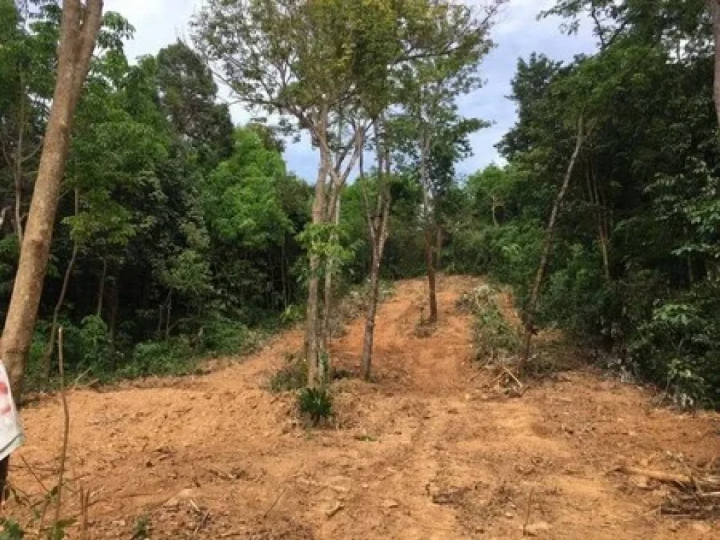 ขายที่ดิน มองเห็นวิวทะเลสาปสงขลา 180 องศา ติดถนนบ้านสวนใหม่ เกาะยอ สงขลา