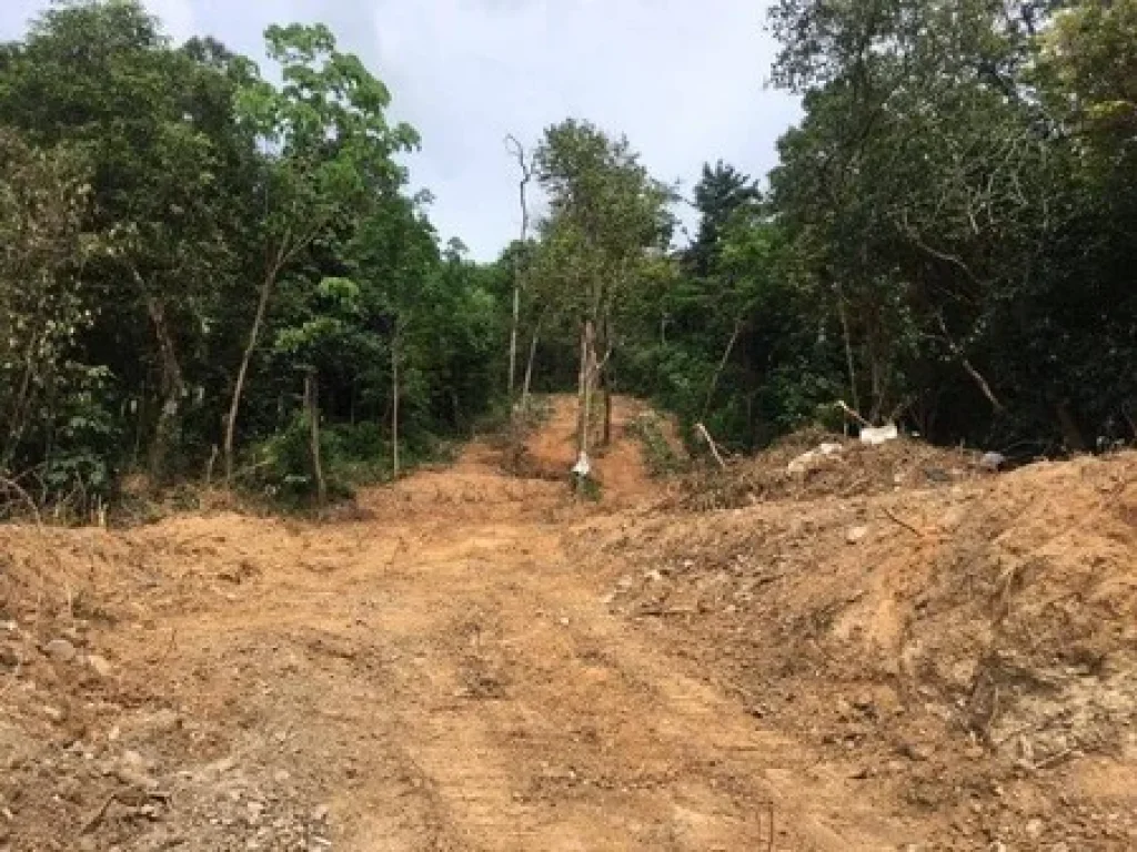 ขายที่ดิน มองเห็นวิวทะเลสาปสงขลา 180 องศา ติดถนนบ้านสวนใหม่ เกาะยอ สงขลา