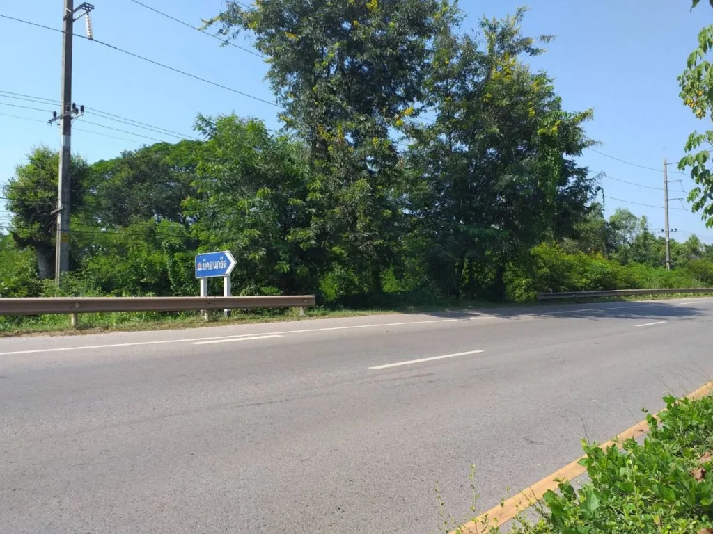 ขายที่ติดถนนหนองคาย-โพนพิสัย