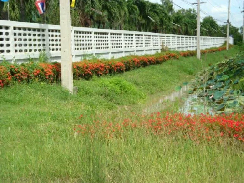 ที่ดิน100ไร่ ริมถนนสายเอเชีย น้ำไฟพร้อมใช้