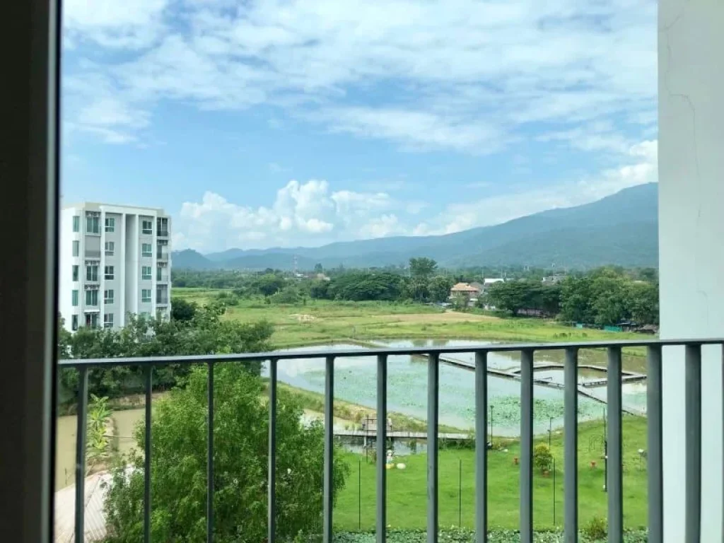 For Rent Luxury 2 bedrooms Condo with garden view at North Condo Serene Lake