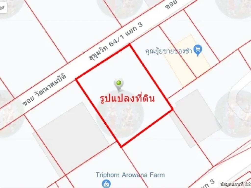 ขายที่ดินสุขุมวิท 641 เนื้อที่ 109 วา ใกล้ BTS ปุณณวิถี 20 ล้าน 0946905562