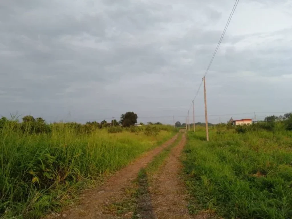 ขายที่ดินโฉนดจัดสรร 100 ตรว อำเภอมวกเหล็ก จังหวัดสระบุรี