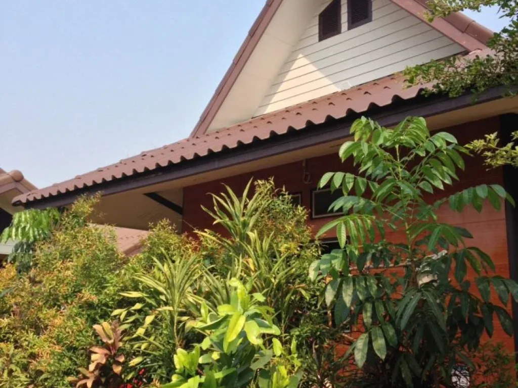 ขายด่วน ที่พักใจกลางเมืองจังหวัดกาญจนบุรี Jim Guesthouse