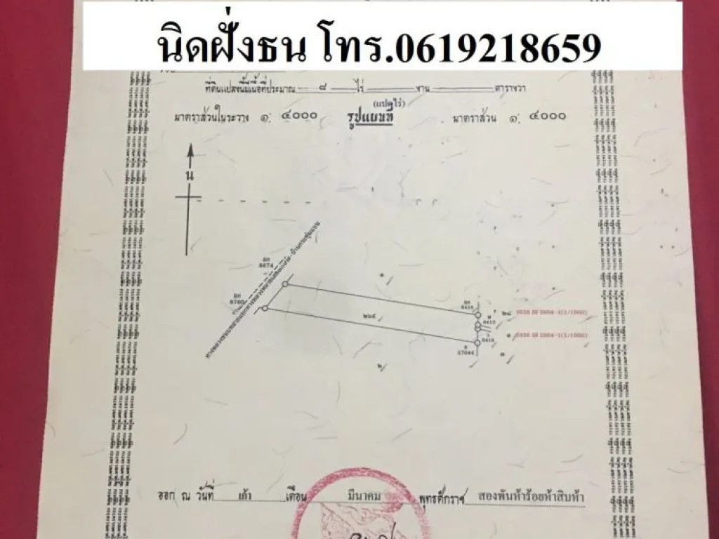 ขายที่ดินเนื้อที่8ไร่ ติดถนน สค4011บ้านแพ้ว-กระทุ่มแบน ตสวนส้ม อบ้านแพ้ว จสมุทรสาคร ที่ดินถมแล้วบางส่วน