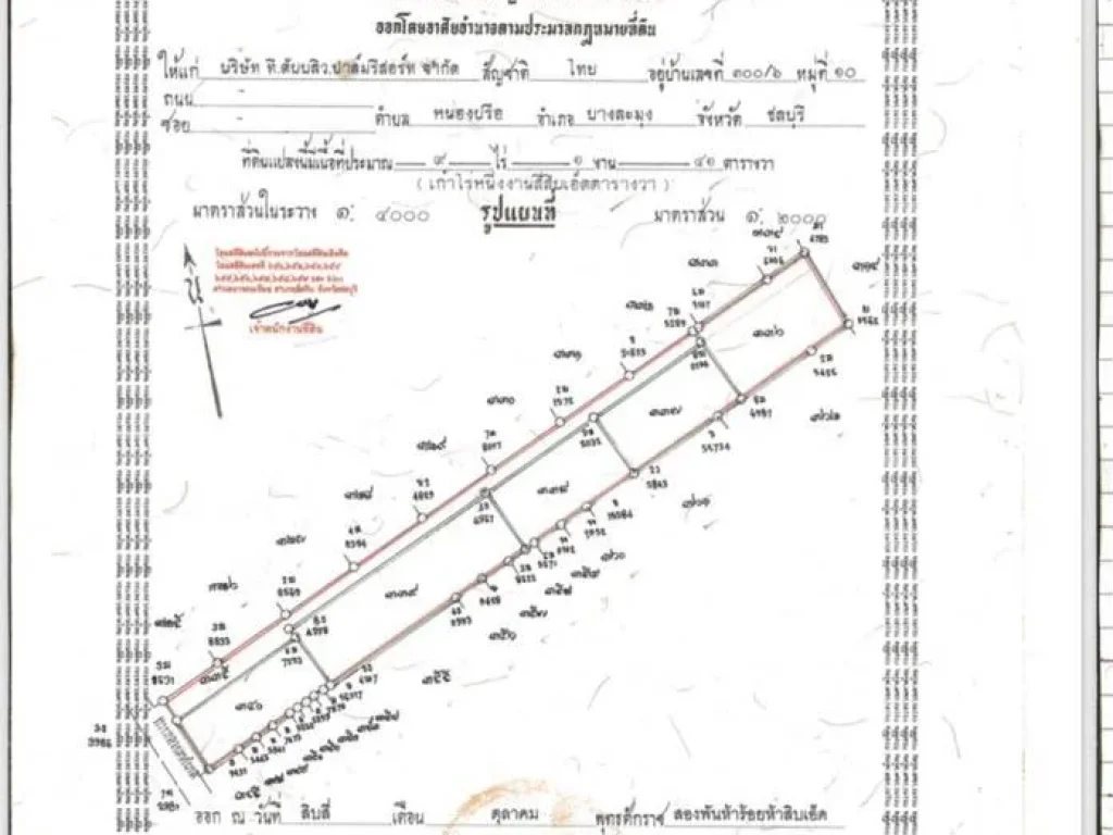 ขายเลยวันนี้ถูกสุดๆ ที่ดิน 9-1-41 ไร่ ติดทะเล ถเลียบหาดจอมเทียน ติดกับร้านปูเป็นและร้านลุงไสว