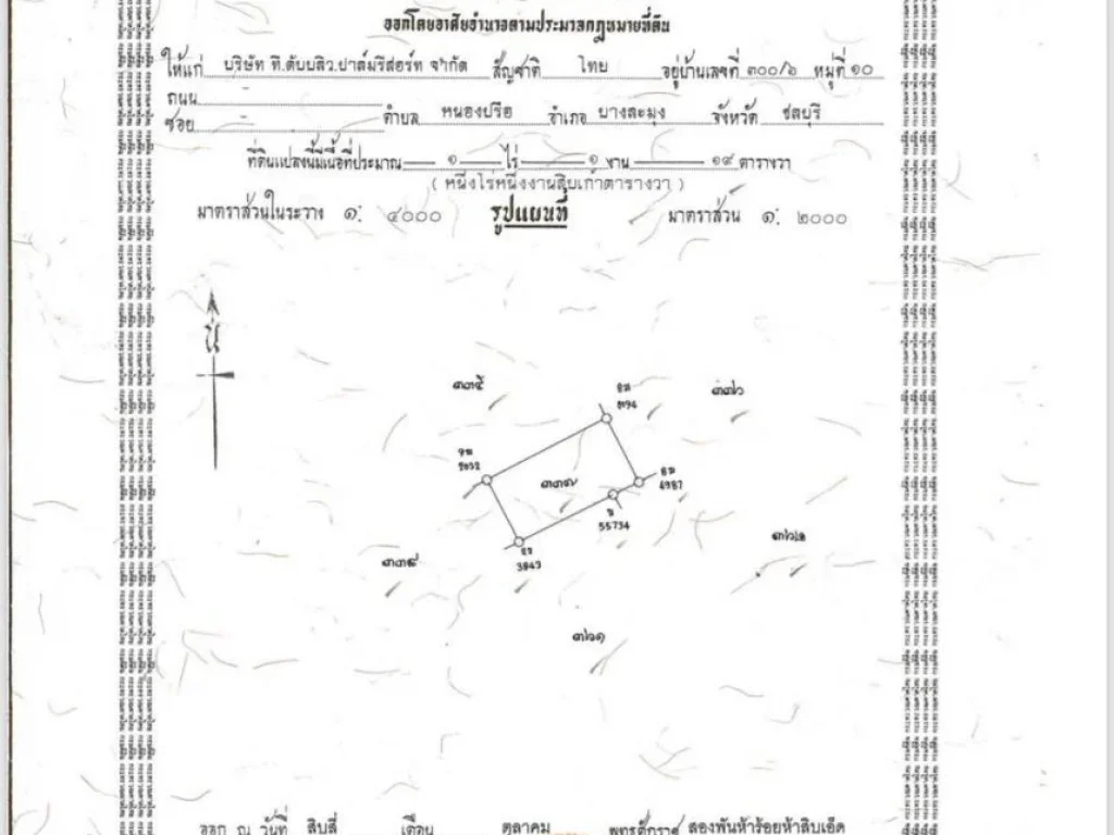 ขายเลยวันนี้ถูกสุดๆ ที่ดิน 9-1-41 ไร่ ติดทะเล ถเลียบหาดจอมเทียน ติดกับร้านปูเป็นและร้านลุงไสว